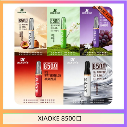 梟客XIAOKE一次性電子菸拋棄式8500口